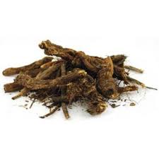 Barberry Root - Oregon Gape Powder 1 lb