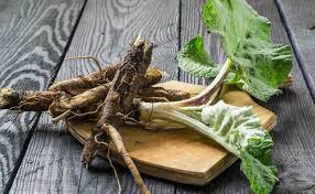 Burdock Root Powder 1 lb