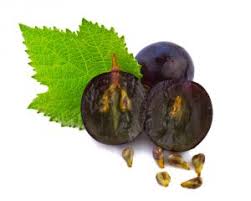 Grapeseed Powder 1 lb