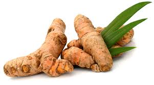 Turmeric Root Powder 1 lb